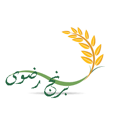 فروشگاه اینترنتی برنج رضوی